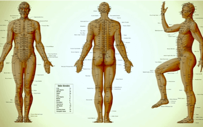 Acupuncture Benefits and How it Works with Dr. Martha Hall DAOM, ACN