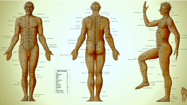 Acupuncture Benefits and How it Works with Dr. Martha Hall DAOM, ACN