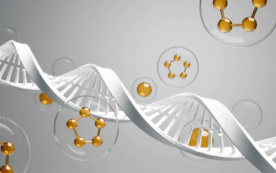 Nutrients and DNA Methylation: The Key to Gene Expression Regulation