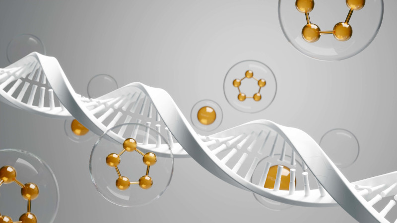 Nutrients and DNA Methylation: The Key to Gene Expression Regulation